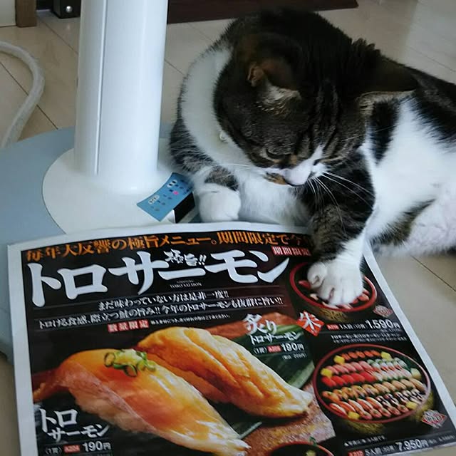 oceanianさんの実例写真
