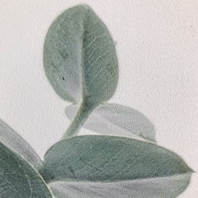 KotoRiさんの実例写真