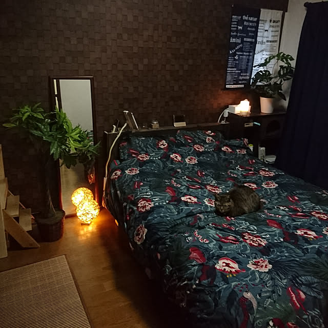 meguさんの実例写真