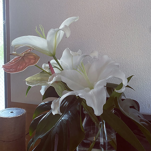 nocomomさんの部屋