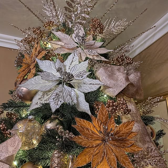 ryo4456さんの部屋