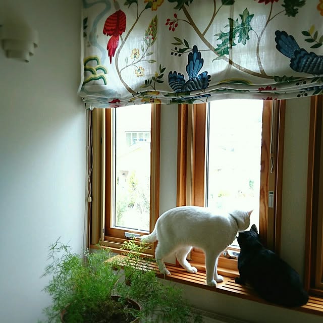 mimiさんの実例写真