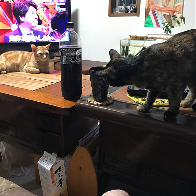 tornadeさんの実例写真