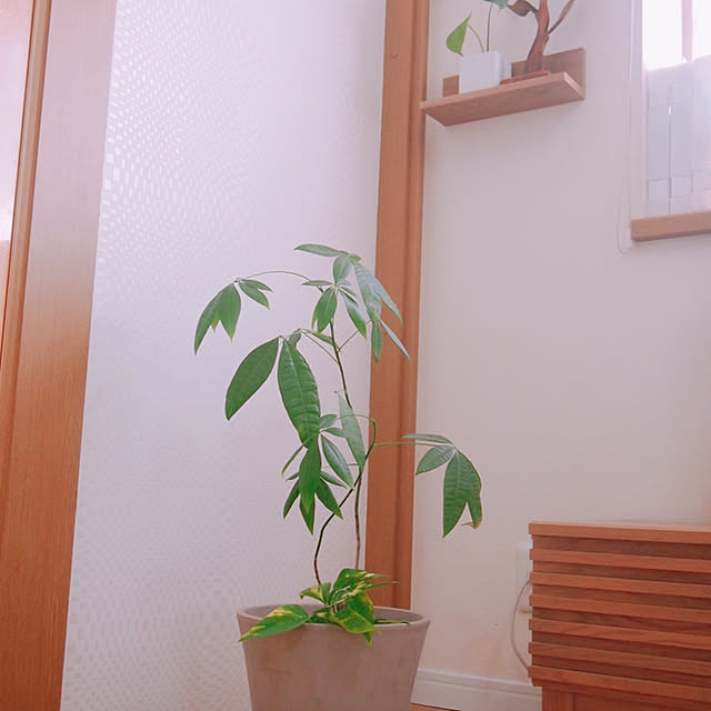 saahannさんの実例写真