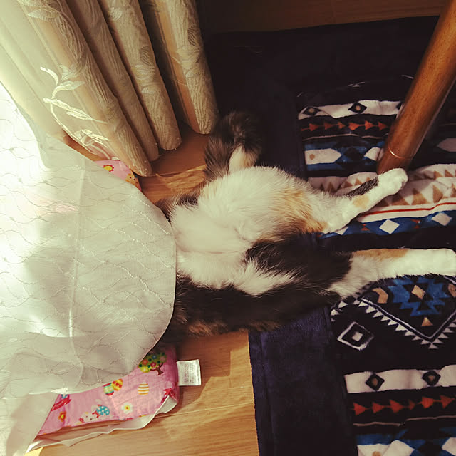 honey_beemtさんの実例写真
