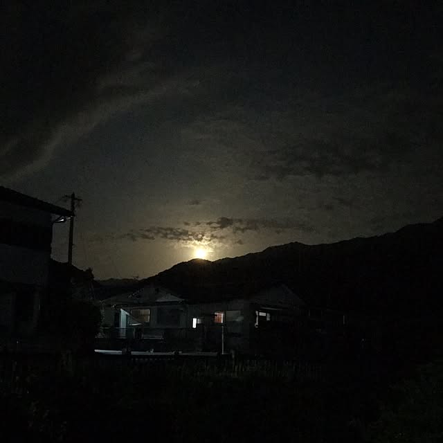 haruさんの実例写真