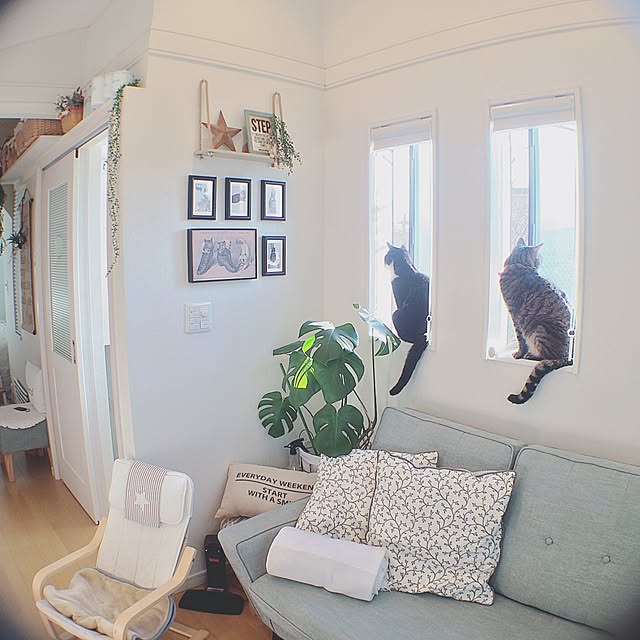 lovecatさんの実例写真