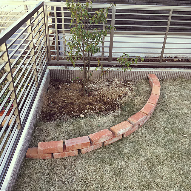 sagarayaさんの実例写真