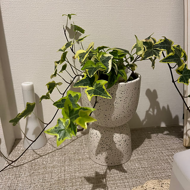 rentaさんの部屋
