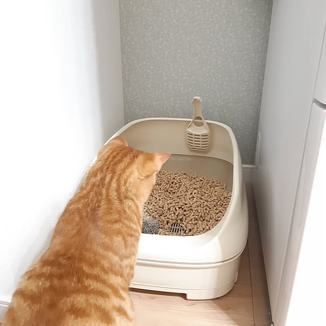 m.m.mさんの実例写真