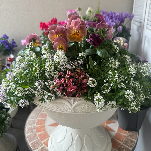 cocoさんの実例写真