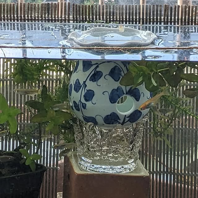 mi-saさんの部屋