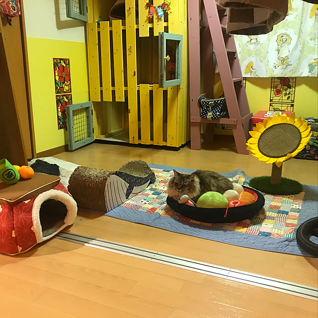 harunatsuakibaさんの実例写真