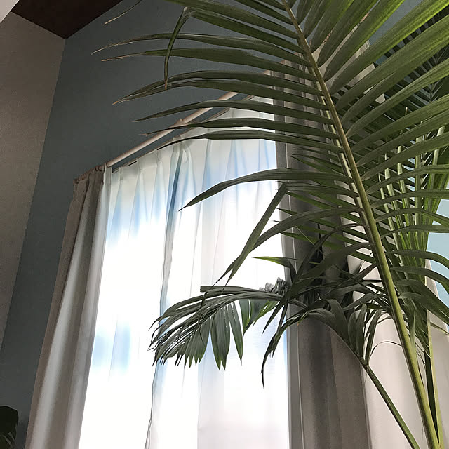 03215さんの実例写真