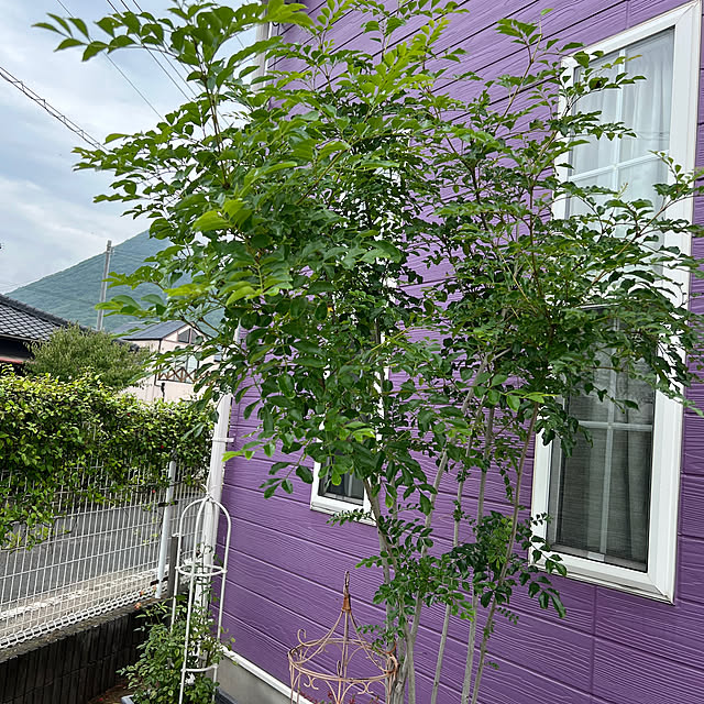 AYUKOさんの部屋
