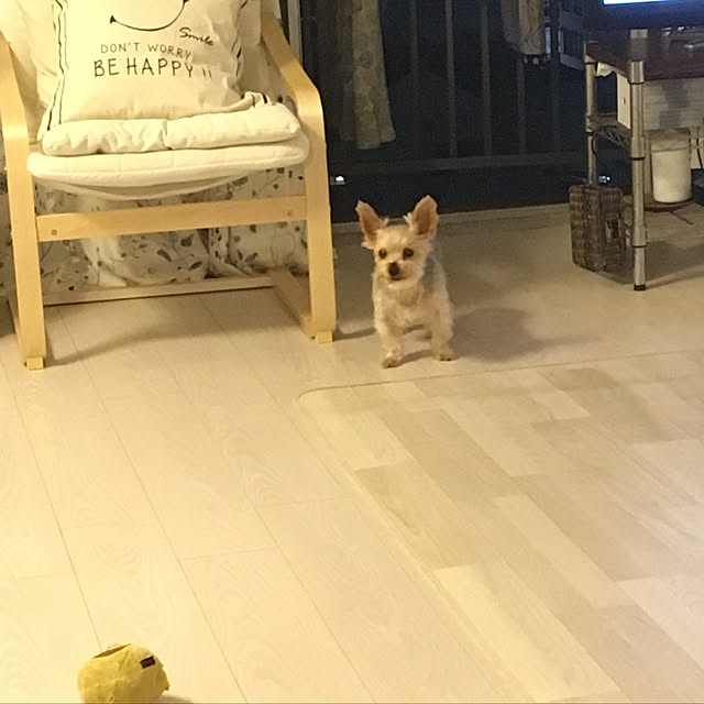 ohanaさんの実例写真