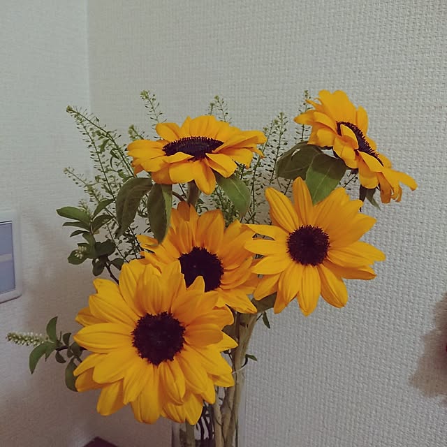hopkeiさんの実例写真