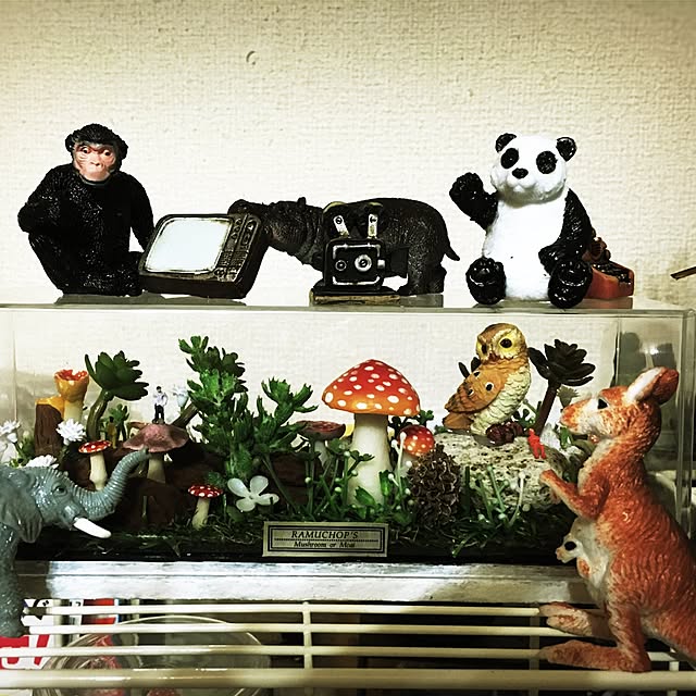 ramuchop3000さんの実例写真