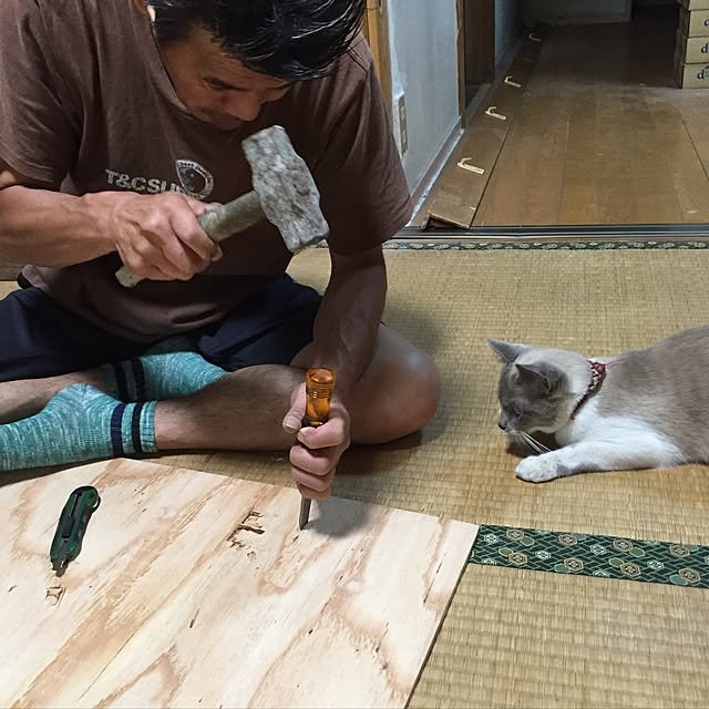 実例写真