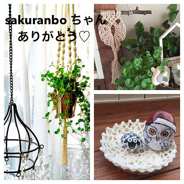 norinori0605さんの実例写真