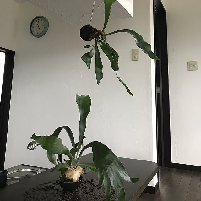 taguさんの実例写真