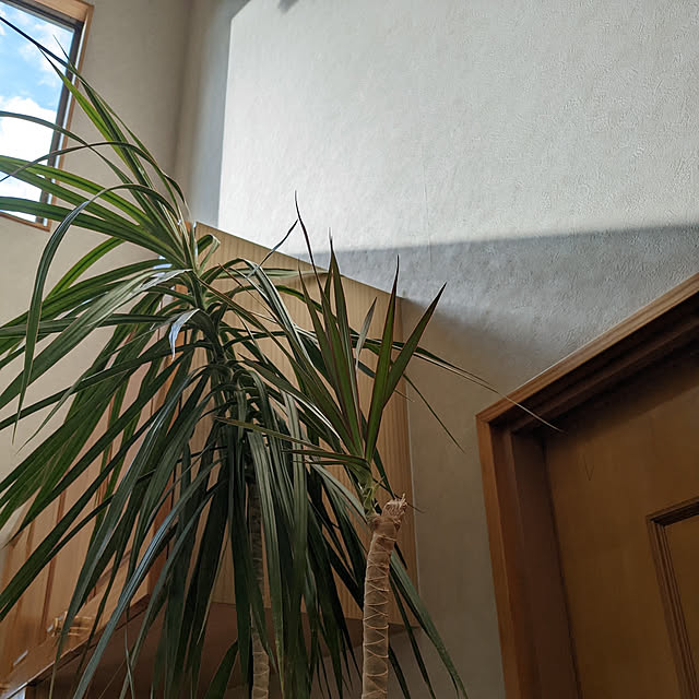 kouheiyuto24623takaさんの実例写真