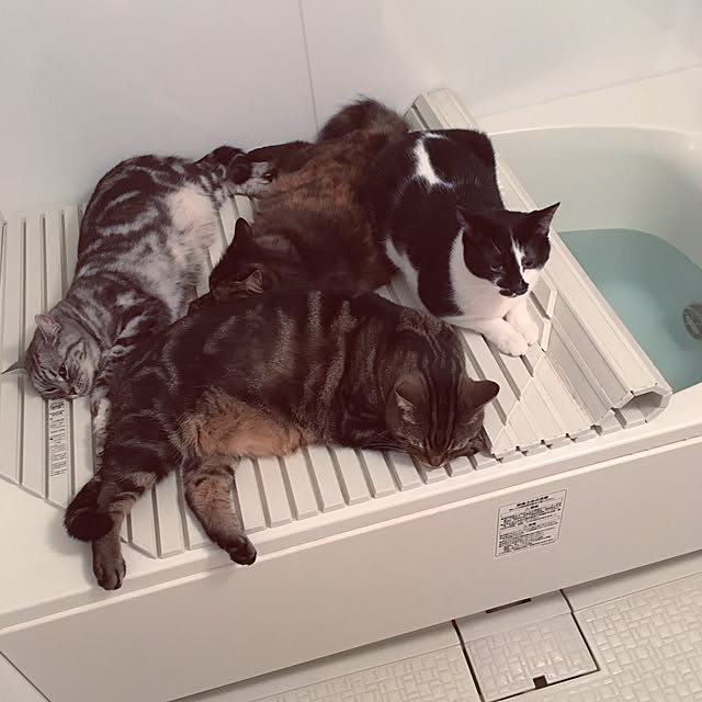 mikomaruさんの実例写真