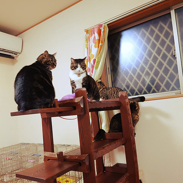noguriさんの実例写真