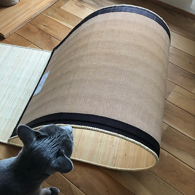 tomokoさんの実例写真
