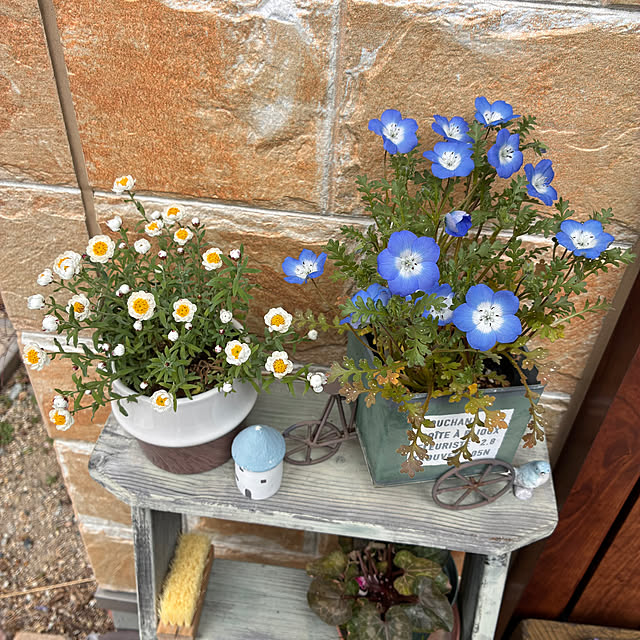 ayayayayaさんの部屋