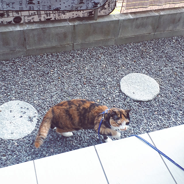 aiさんの実例写真