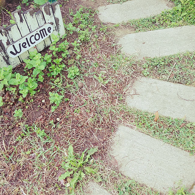 tulipさんの実例写真