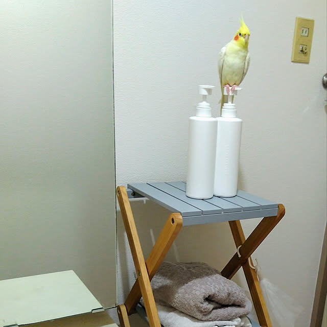 toratanさんの実例写真