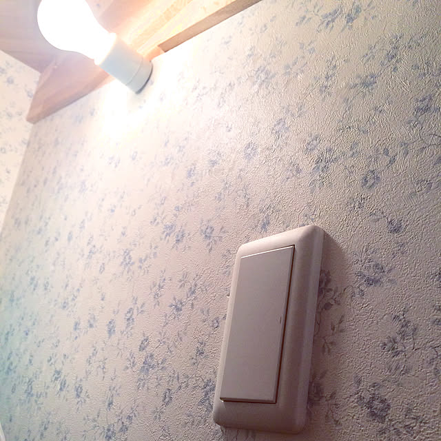 shimoamさんの実例写真