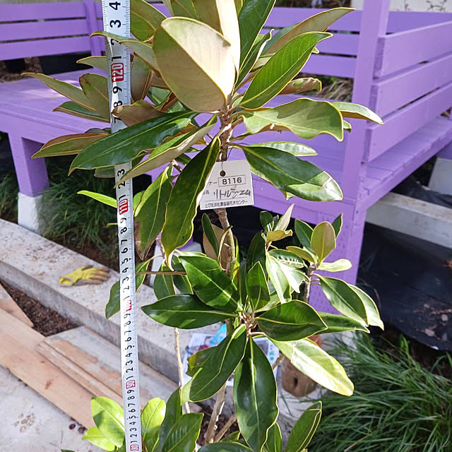 sasaさんの実例写真