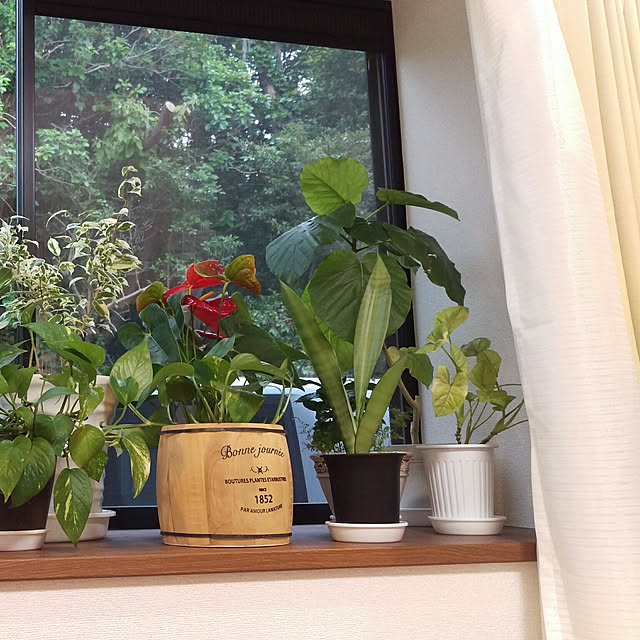 HIRO.TA29さんの実例写真