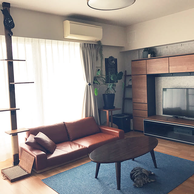 hiyupan88さんの実例写真