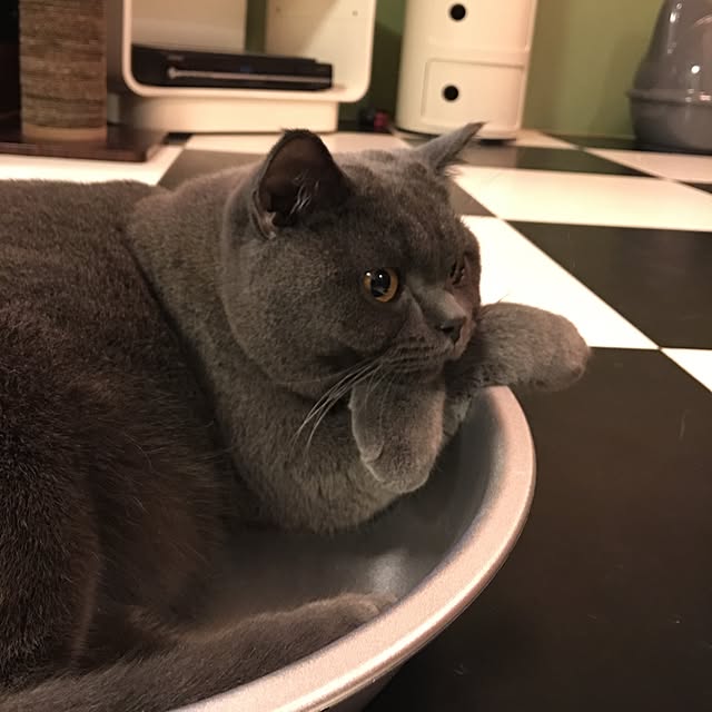 Shojiさんの実例写真