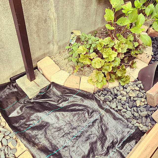 machaさんの部屋