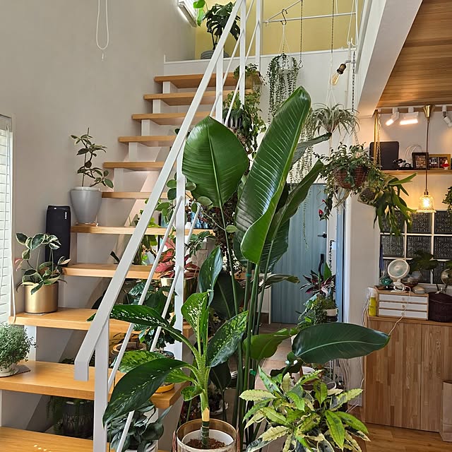 nonbiri_house_さんの部屋