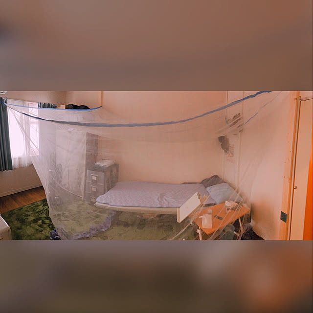 qnjqyさんの実例写真