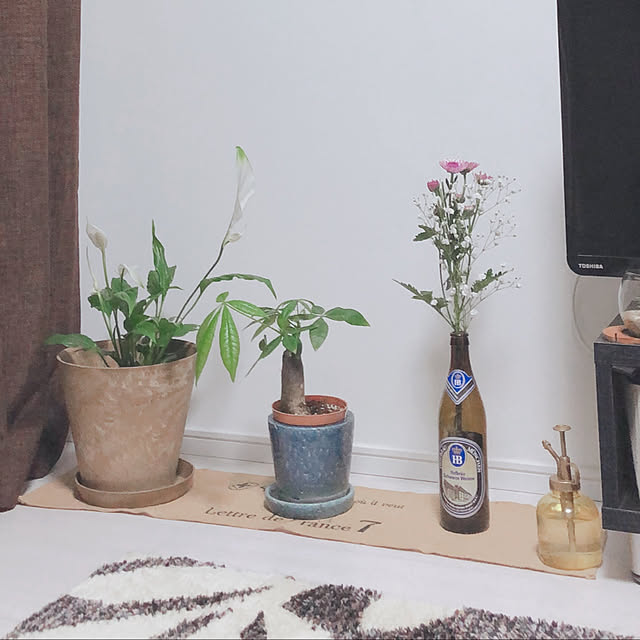 観葉植物/ナチュラル/一人暮らし/リビングのインテリア実例 - 2019-04-03 10:06:49