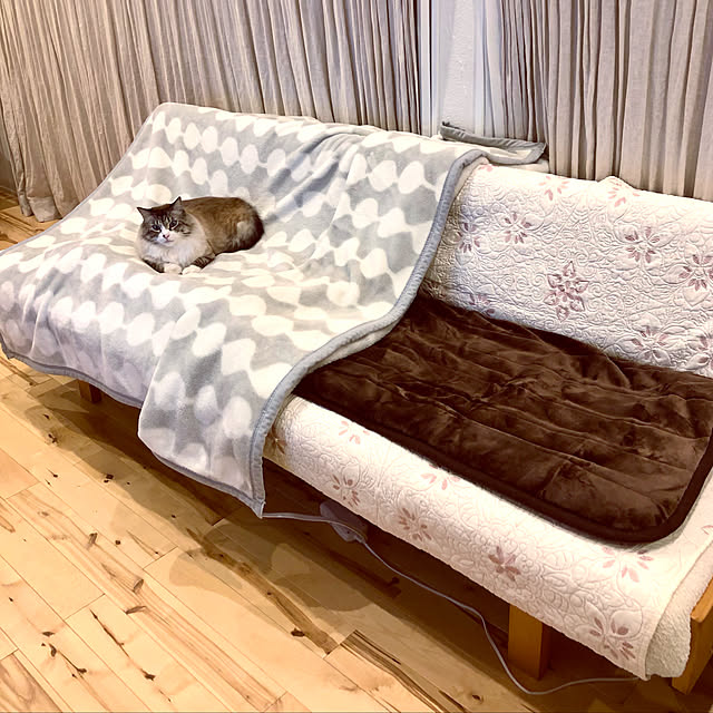 masyacanonさんの実例写真