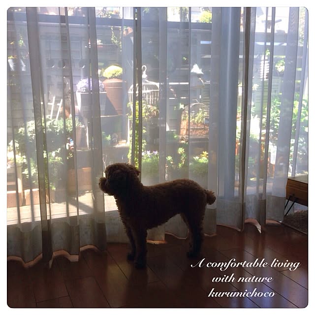 kurumichocoさんの実例写真