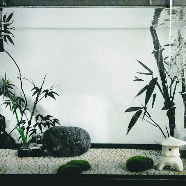 littlemomさんの実例写真