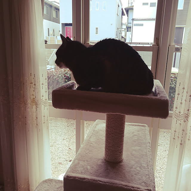 lilyさんの実例写真
