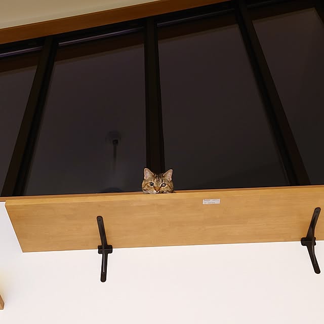 mochicoさんの部屋
