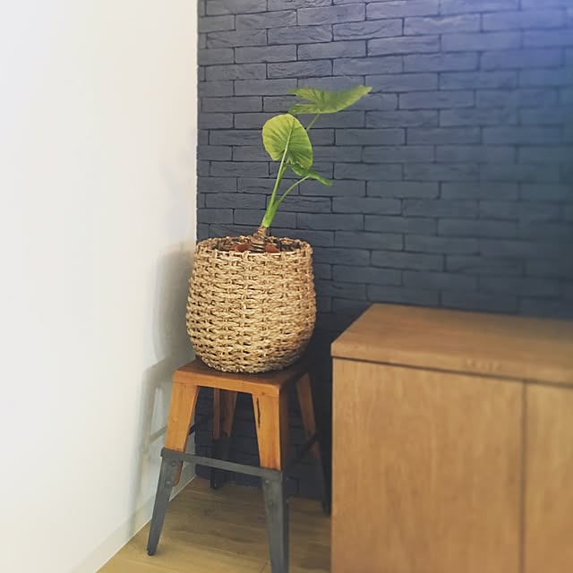 aoihenryさんの実例写真
