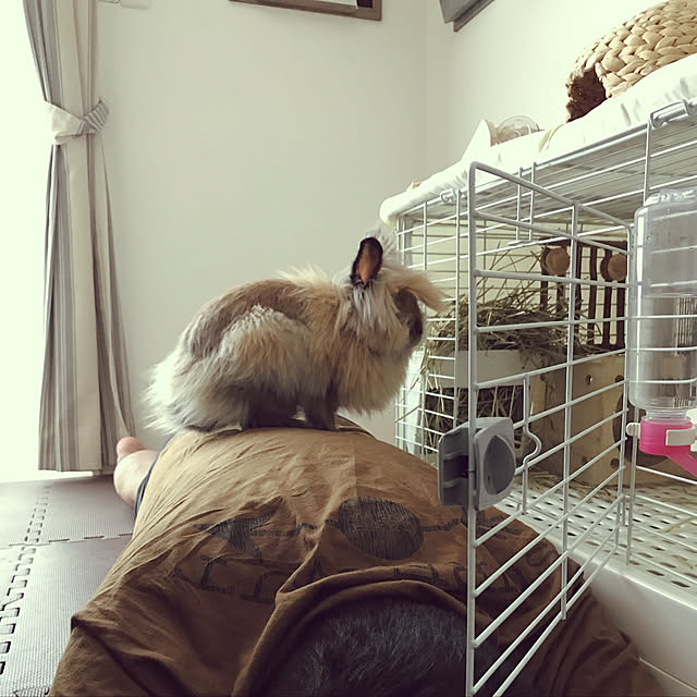 mさんの実例写真