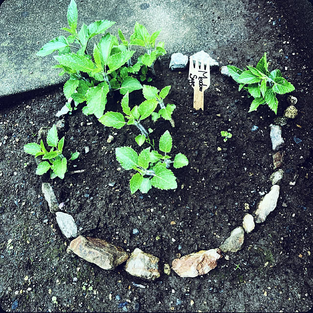 Ohigeさんの実例写真